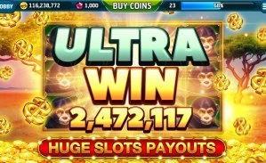 7755 bet